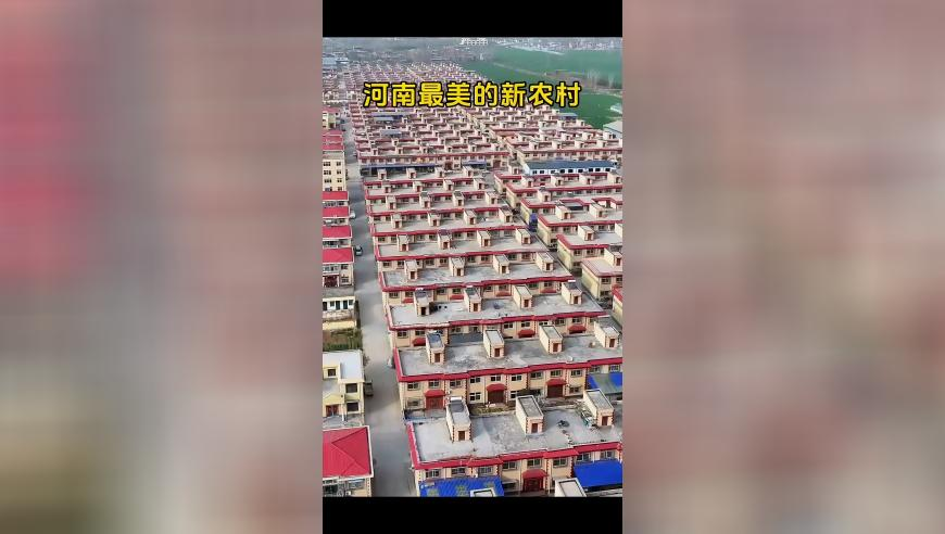607666香港开奖最快现场直播,仙台有树 处处吻,动态词语解释落实_社交版V5.24