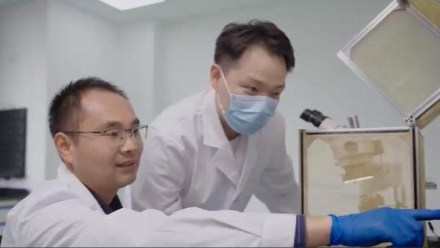 管家婆三期内必开一期管家婆,智驾公司纵目科技创始人失联,全面解答解释落实_静态版V11.67